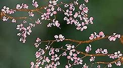 Cherry Blossom Branches Spring Window Clings for Glass Windows - Spring Window Stickers - Window Clings Flowers for Springtime Window Clings - Butterfly Window Clings - Daffodil Window Clings