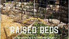 Are you maximizing the potential of your raised garden beds?