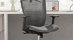 FLEXISPOT Mesh Ergonomic Chair Home Office Desk Chair Comfy Chair Big and Tall Office Chair with Lumbar Support Ergonomic Back Design Grey