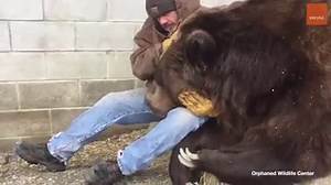Man and 10-Foot Bear Share Extremely Close Bond