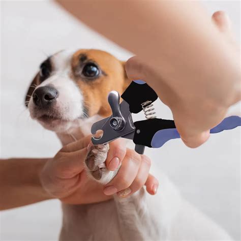 Pet Nail Clipper for Dogs & Cats with Safety Guard, Blue & Black ...