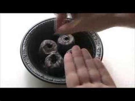 If more than one seed is growing in a pellet, simply pinch off the other plant so you only have one healthy plant per peat pellet. How to Use Peat Pellets - YouTube