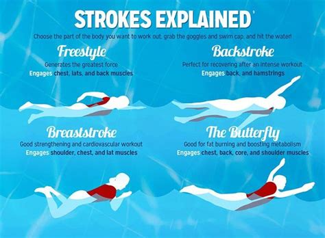 Immediately after this, the gases expand in the cylinder, which pushes the piston downwards. What Are The Most Popular Swimming Strokes? - Xsport Net