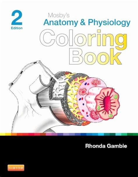 Barnes & noble, inc., is an american bookseller. Anatomy Coloring Book Barnes and Noble Beautiful Anatomy ...