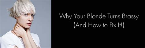 Here's a look at what causes hair to turn gray and some of the factors that affect graying. Why Your Blonde Turns Brassy (And How to Fix It!)