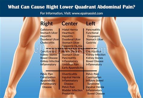 Knowing what organs are located near your right hip bone can sometimes help to diagnose the cause of organs that are in your lower right abdomen near or above your right hip include:1. Kidney Infection Lower Back Pain Right Side - KIDRIZI