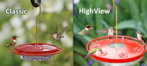 Check spelling or type a new query. Best Hummingbird Feeders Reviews (2020) Glass, Saucer ...