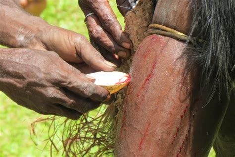 Kata kunci yang berhubungan dengan post ini: 7 Tradisi Unik yang Hanya Ada di Papua. Kamu Harus Tahu!