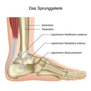 » das machen sie bei einem schienbeinkantensyndrom (shin splints). Knöchelbruch, Sprunggelenkbruch | CityPraxen Berlin