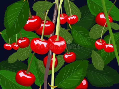 Lift your spirits with funny jokes, trending memes, entertaining gifs, inspiring stories, viral videos, and so much more. Cherry Tree With Green Leaves And Ripe Cherry Fruits Stock ...