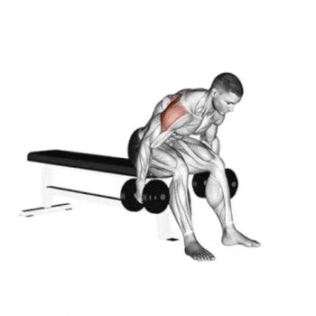 Bend at the waist while keeping the back straight in order to pick up the dumbbells. HOW TO GET FASTER SHOULDER GROWTH
