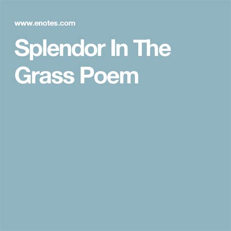 Of splendour in the grass, of glory in the flower Pin on Songwriting & Literature