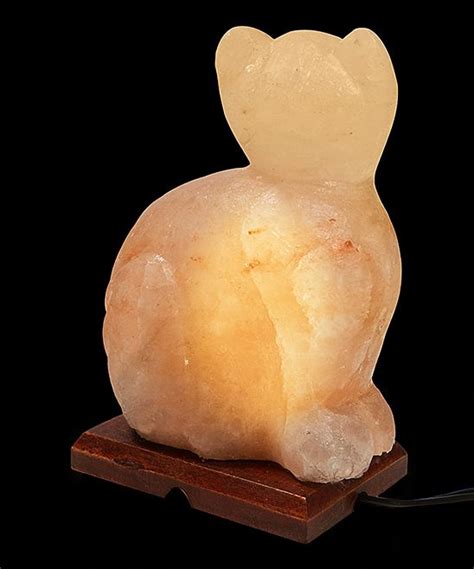 I don't know if she's grooming us because we're dirty or she just likes the salty taste! Cat Himalayan Salt Lamp | Himalayan salt lamp, Pink ...