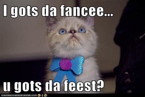 Fancy friday flyer for los toltecos. I gots da fancee... - Lolcats - lol | cat memes | funny ...