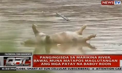 Marikina river's water level has reached 16 meters (2nd alarm) at a.m. Marikina River - The Cover Letter For Teacher