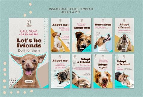 The more you look after it the bigger it grows! Download Instagram Stories Template With Pet Adoption for ...