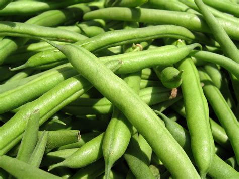 Any perscription drug with effects that range from a head change to knocking someone out, sold in the street. a lesson from the green bean plants....