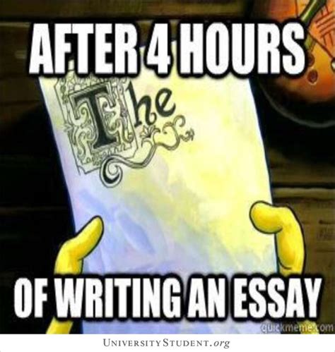 How to write an essay meme. After 4 hours of writing an essay meme | UniversityStudent.org