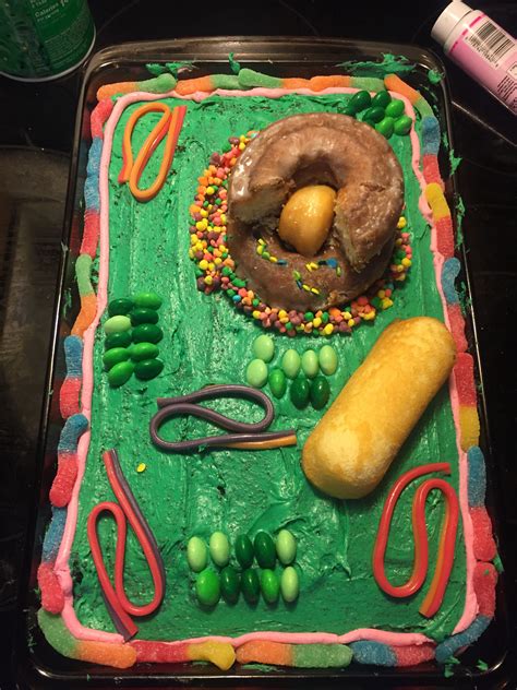Edible animal cell science project my oldest daughter recently had an assignment in her biology class to make either an edible animal cell or plant cell. Edible plant cell | Edible cell project, Plant cell cake ...