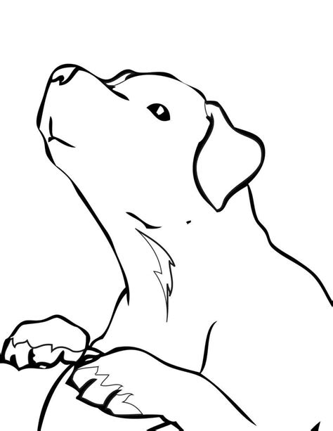 See german shorthair pointer stock video clips. German Shorthaired Pointer Coloring Pages at GetDrawings ...