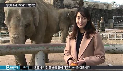 김민준은 과거 지인과 공항에서 출국할 때 촬영 거부. 김민준 안현모, 배우와 기자 어떻게 만나 사랑 키웠나 - 연예 ...