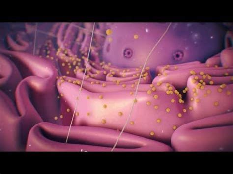 A drag and drop activity to practice cell labelling. The Cell: High School Biology | High school biology ...