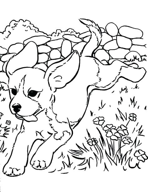 Beautiful dogs coloring page to print and color. Hard Dog Coloring Pages at GetDrawings | Free download