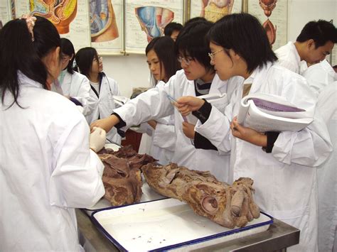 Ivano colombo february 24, 2021 no comments. Autopsy Of Lad Who Donated His Body