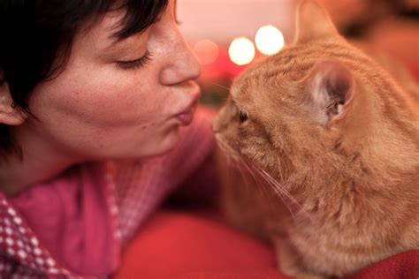 Leider haben sich jetzt nachbarn beschwert, das firstsie immer in deren garten koten würde, angeblich bis zu 3 häufchen täglich. Demenz bei Katzen: So helft ihr eurer vergesslichen Mieze ...