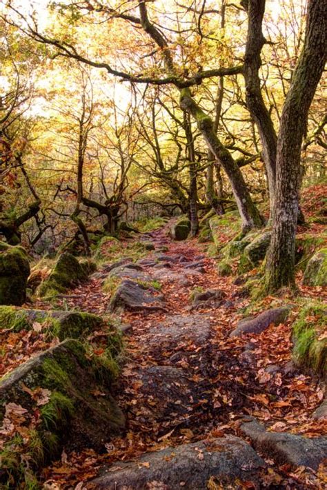 The plateau is generally between 200m and 300m above sea level. bonitavista: " Derbyshire, England photo via amanda ...