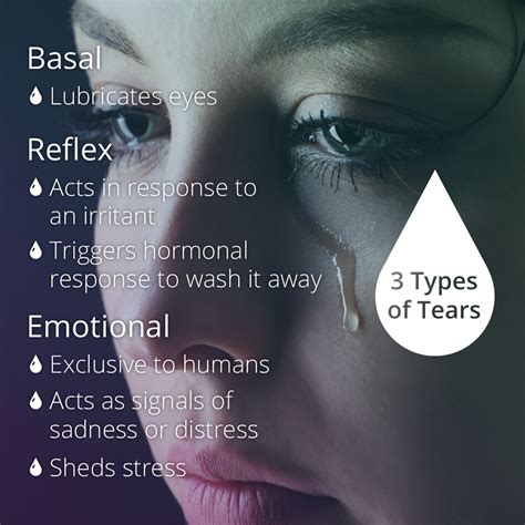 Conjure up your most tearful memories,. How To Not Stress Cry - WHOARETO