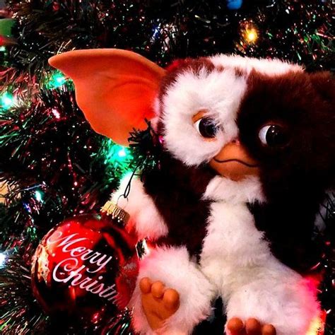 One of the promising christmas decoration ideas spins around the effort you put in to give it a personalized. Merry Christmas Gizmo Gremlin in the Xmas Tree | Gizmo ...