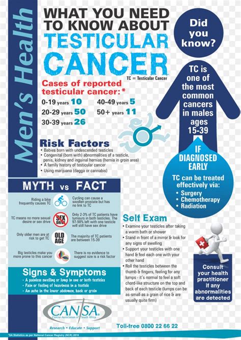 This information helps you and your doctor understand how serious the cancer is and how to treat it. Cancerul Testicular Testicular cancer or hernia