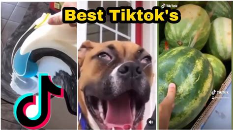 Maybe you would like to learn more about one of these? Best Viral Video's (Compilation) | Best Tiktok | Try not ...