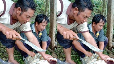 We did not find results for: Fenomena Sapi Mati Mendadak di Kintamani, Peternak Terpaksa Jual Murah Rp 8 Juta Per Ekor ...