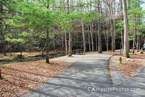 Hungry mother has three yurts, two of which are in camp burson. Hungry Mother State Park - Campsite Photos, Reservations ...