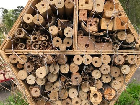 At the end / top of the bowl leave enough rope to form a loop at the top as well as 1 to feed into the inside before cutting. Be Bee-Friendly: Build a Bee House and Create a Habitat in ...