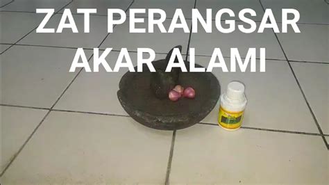 Gunakan 10 hingga 15 siung umbi bawang merah, blender sampai halus. CARA MEMBUAT ZAT PERANGSANG AKAR ALAMI,OBAT RONTOK LAYU ...