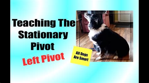 The company's collection of direct measurement videos are. Teaching The Stationary Pivot - Left Pivot Part 1 - YouTube