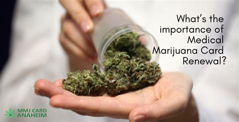 Why is a Medical Marijuana Card Renewal Necessary in Anaheim?