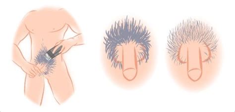 We did not find results for: How to Shave Men's Genitals (Illustrated)