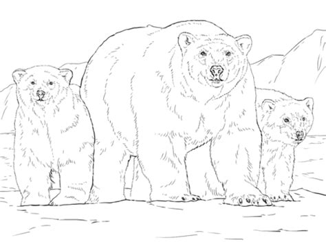 Wrap up and grab your crayons. Polar Bear with Two Cubs Coloring page | Free Printable ...