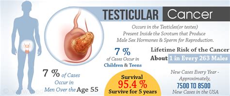 If found early, a testicular tumor may be about the size of a pea or a marble, but it can grow much larger. Testicular Cancer - Risk Factors - Symptoms - Diagnosis ...