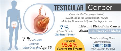 One might be bigger or firmer than the other. Testicular Cancer - Risk Factors - Symptoms - Diagnosis ...