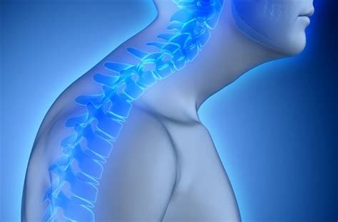 Perform scapular squeezes, where you squeeze the shoulder blades together, to improve the upper back. How You Can Fix a Dowager's Hump + Prevention Tips ...