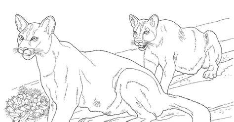 Long is the education manager for the yellowstone wildlife sanctuary. Free Coloring Pages Mountain, Download Free Coloring Pages ...