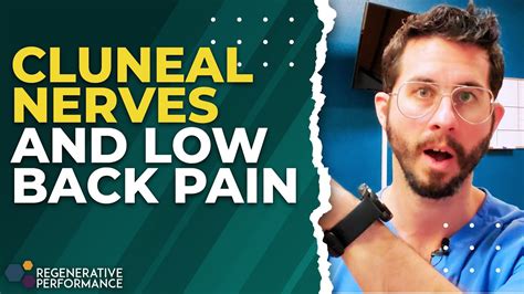 The gluteal muscles are a large and powerful group of muscles that have multiple functions. Cluneal Nerves and Low Back Pain | DailyDocTalk 115 - YouTube
