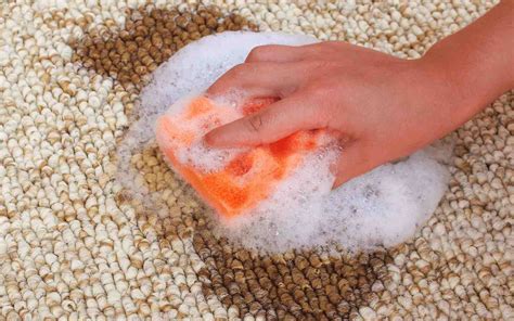 Auch bei dieser reinigungsmethode sind vorarbeiten, wie das absaugen, nötig. Blut aus Teppich entfernen | Schnelle & clevere Tipps