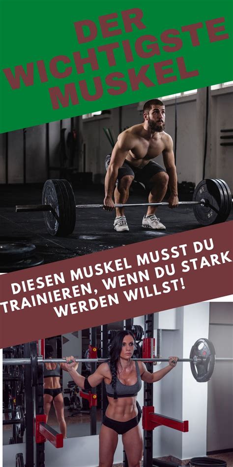 John's paternal grandfather was felix joseph cena (the son of agostino/august cena and madalena/madaline/madolena baleyns/belegante/balegno). Der wichtigste Muskel für viel Kraft! in 2020 | Fitness ...