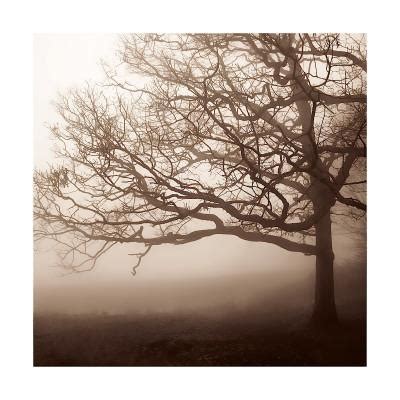 She earned a bfa in graphic. Silence Giclee Print by Erin Clark | Art.com